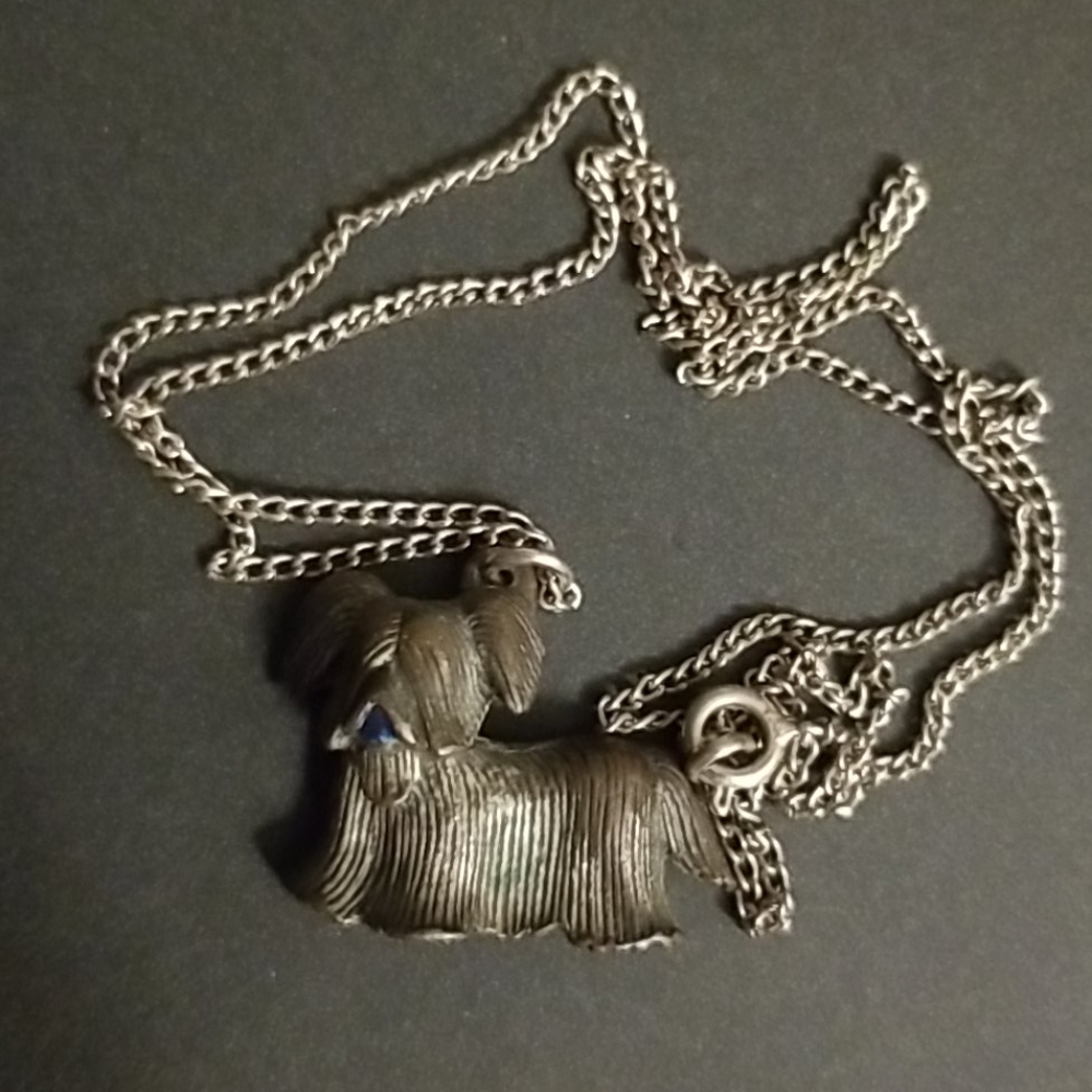 Tutor dog on and necklace